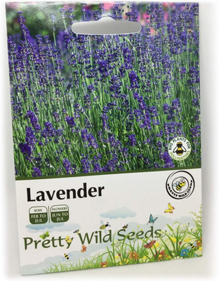 ActrovaX Lavender - Lavendula ANGUSTIFOLIA [800 Seeds] Seed(800 per packet)