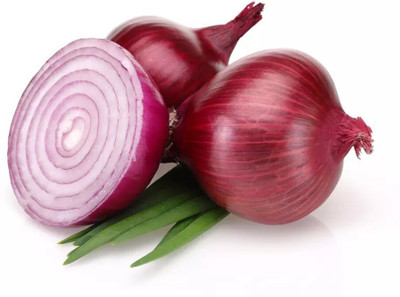 Quentova Super Nasik Onion-XIL-10T Seed(300 per packet)