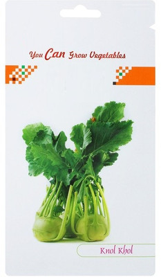 CYBEXIS Knol Khol Seed(2000 per packet)