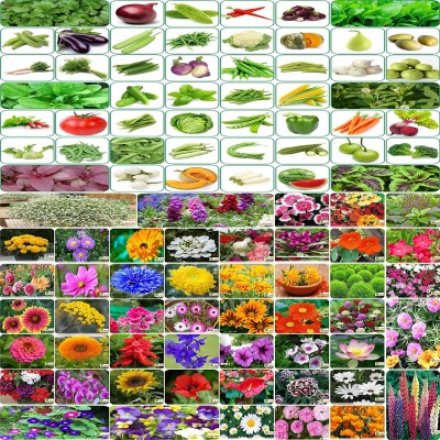 FLARE SEEDS 100 Types Of Combo Seed(5500 per packet)