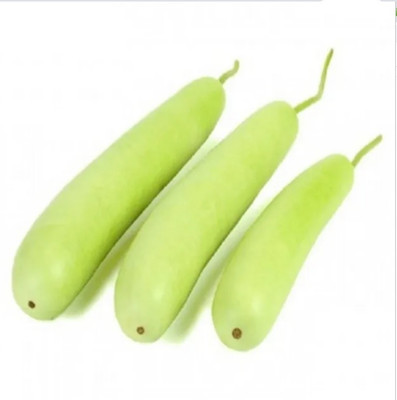 UGRA Long Bottle Gourd Seeds Seed(150 per packet)