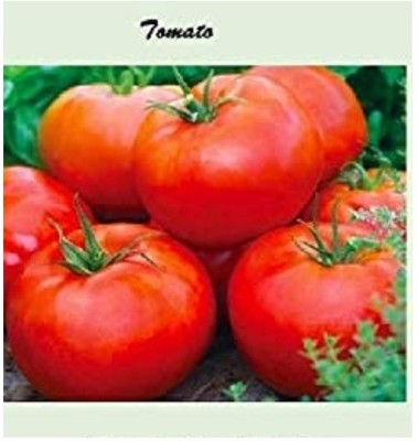 Qualtivate RES-1A Tomato Seed(300 per packet)