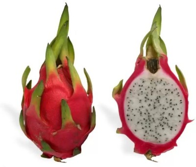 Chalisa Dragon Fruit, Pitaya Seed(290 per packet)