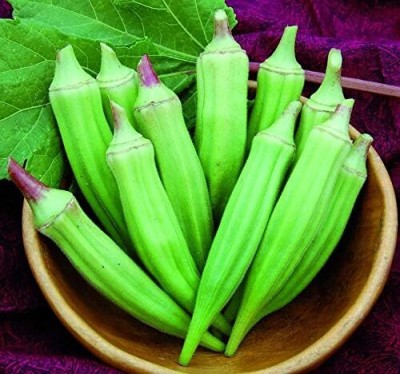 CRGO OKRA , BHINDI , LADYFINGER Seed(250 per packet)