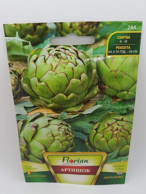 CYBEXIS Artichoke Seeds Seed(200 per packet)