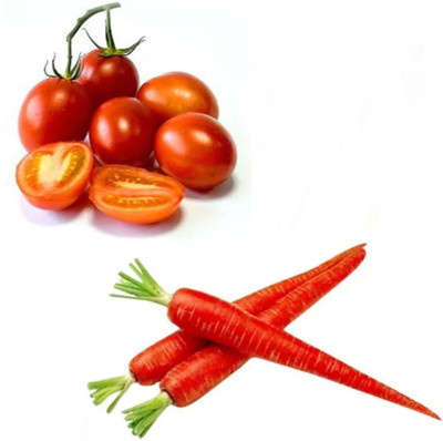 PSAgroinput Tomato and Carrot Vegetable Seed(100 g)