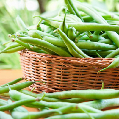 SREE Gwar Fali/Cluster Beans 74 Seed(40 per packet)