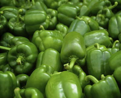 VASUDHA Green pepper Capsicum Seed(100 per packet)