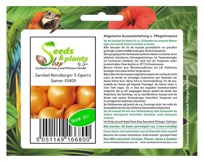 WILLVINE Onion Reinsburger 5 o Bulbs Seeds-[5000 Seeds] Seed(5000 per packet)
