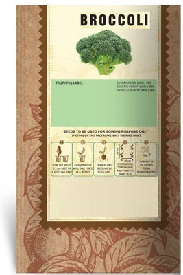 CYBEXIS XLR-23 - Broccoli For Planting - (150 Seeds) Seed(150 per packet)