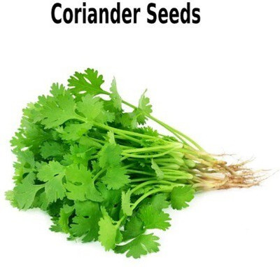 Avysa Coriander Seed(800 per packet)