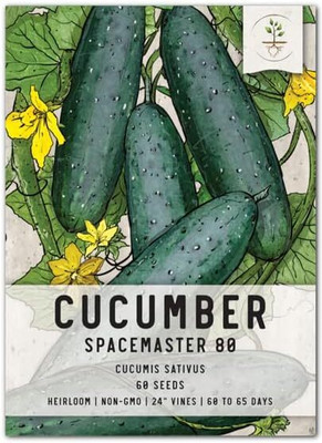 Qualtivate HYB-9A Spacemaster 80 Cucumber Seeds Seed(300 per packet)