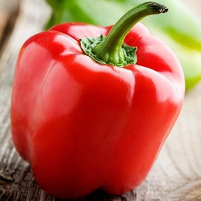 Biosnyg Yolo Wonder L Red Capsicum Seeds-200 Seeds/1gm Seed(200 per packet)