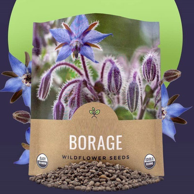 CYBEXIS LX-64 - Borago Officinalis Blue Star Borage - (150 Seeds) Seed(150 per packet)