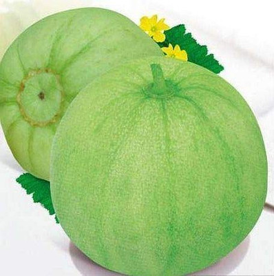 VibeX XLL-1 - Sweet Fragrant Green Muskmelon - (450 Seeds) Seed(450 per packet)