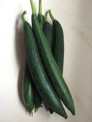 UGRA Sponge Gourd Seed(1000 per packet)