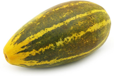 VibeX ® VXI-503 Sambar Cucumber (Dosakkai)Andhra Pradesh Seed(200 per packet)