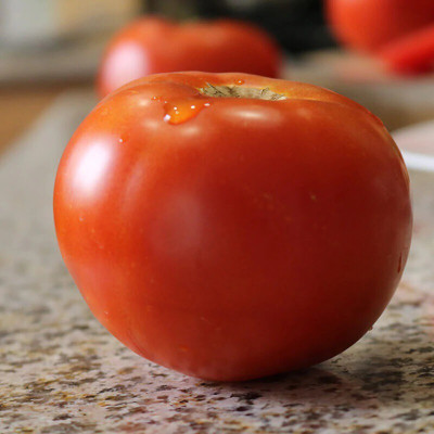 Quentova Tomato-GBPUT-22F Seed(200 per packet)