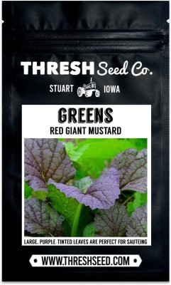 VibeX XLR-91 - Red Giant Mustard - (750 Seeds) Seed(750 per packet)