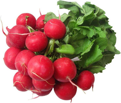 CYBEXIS Red Cherry Radsish Seeds2400 Seeds Seed(2400 per packet)