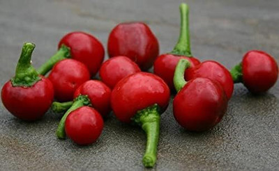 Qualtivate RES-9A Chilli Pepper Hot Round Seed(300 per packet)