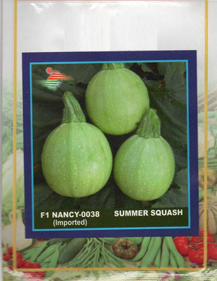 KNESSiN Hybrid Round F1 Nancy Zucchini Seeds Seed(50 per packet)