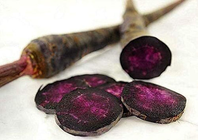 Qualtivate VXL-3AT Black Nebula Carrot Seeds Seed(300 per packet)