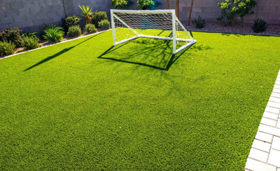 abiswas Bermuda Grass Seed For Lawn Seed(25050 per packet)