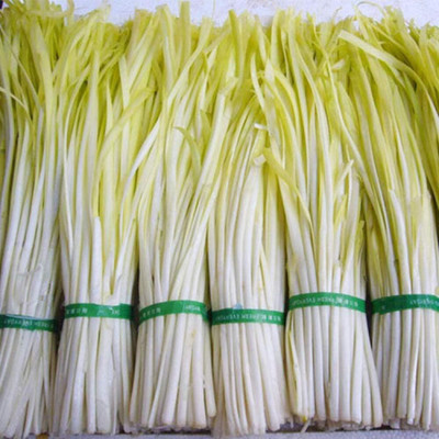 KNESSiN Chive Leek Seed(200 per packet)