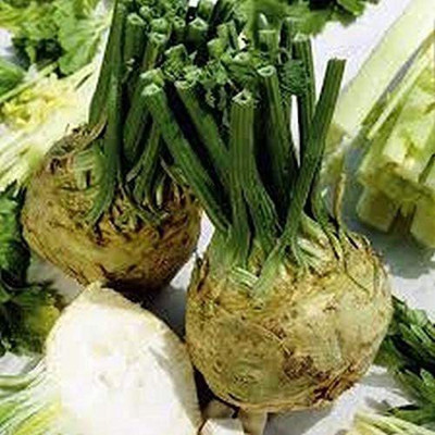 VibeX NDIR-51 - Celeriac (Verona White) - (250 Seeds) Seed(250 per packet)