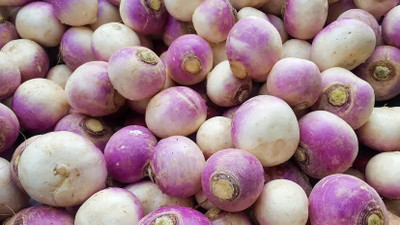 Quentova White Purple Ball Turnip/Shalgam-AJ-7Q Seed(200 per packet)