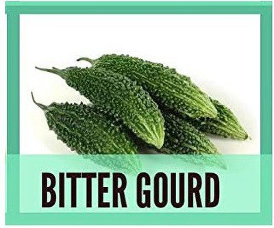 CYBEXIS Bitter Gourd400 Seeds Seed(400 per packet)
