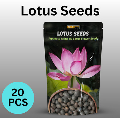 Bold Byte Lotus Flower Seeds, Kamal Gatta Seed, kamal ke Beej Seed(20 per packet)