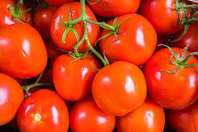 XOLDAA hybrid f1 quality tomato seeds Seed(45 per packet)