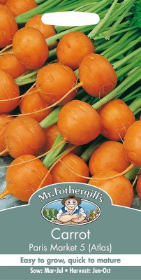 CYBEXIS Vegetable Seeds, Carrot Paris Market 5-Atlas4000 Seeds Seed(4000 per packet)