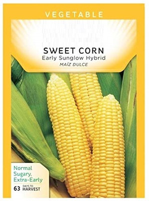CRGO SWEETCORN , CORN , MAKKA Seed(10 per packet)