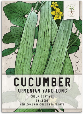 Qualtivate HUA-3A Armenian Yard Long Cucumber Seed(300 per packet)