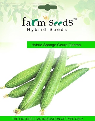 ActrovaX Hybrid Sponge Gourd Garima 1 Packet [400 Seeds] Seed(400 per packet)