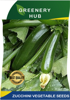 Greenery Hub Healthy Zucchini Seeds for a Bountiful Garden Harvest Seed(50 per packet)