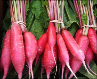 Aywal Radish Seed(250 per packet)
