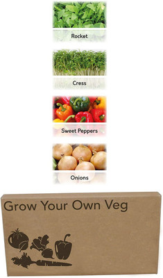 CYBEXIS 4 Varities Grow Your own Kits Seed(10 g)