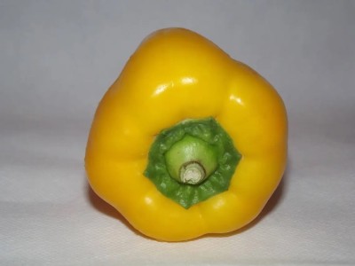 Quentova Golden YELLOW BELL PEPPER Wonder Capsicum-8L-PUAS Seed(50 per packet)