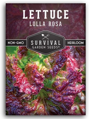 VibeX ® VMR-399 Lolla Rosa Lettuce Seeds Seed(200 per packet)