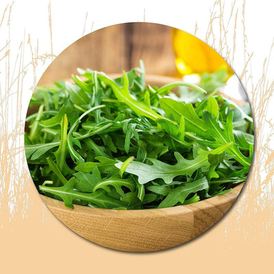 CYBEXIS F90Arugula Seeds700 Seeds Seed(700 per packet)