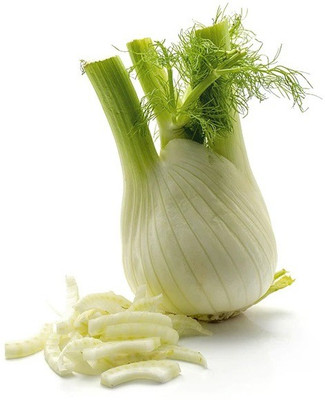 CYBEXIS FENNEL SEEDS2800 Seeds Seed(2800 per packet)