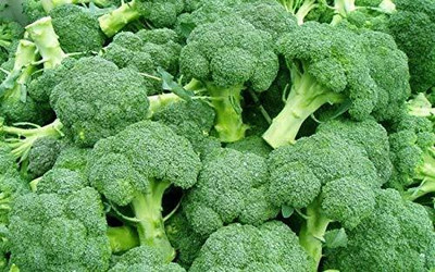 Qualtivate RES-1A Winter Broccoli Seed Seed(300 per packet)