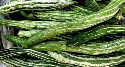 Quentova Snake Gourd/Chichinda/चिचिण्डा-US-6Y Seed(25 per packet)