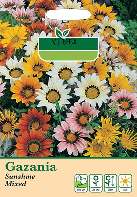 CYBEXIS Seed Gazania 'Splendens Mixed' Quality Flower Seed(50 per packet)