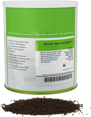 WILLVINE XLL-683 F1 Hybrid Broccoli Aria Seeds Seed(200 per packet)