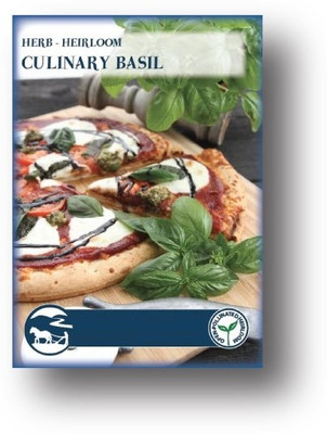 Biosnyg Basil Herb Seeds-[250 Seeds] Seed(250 per packet)